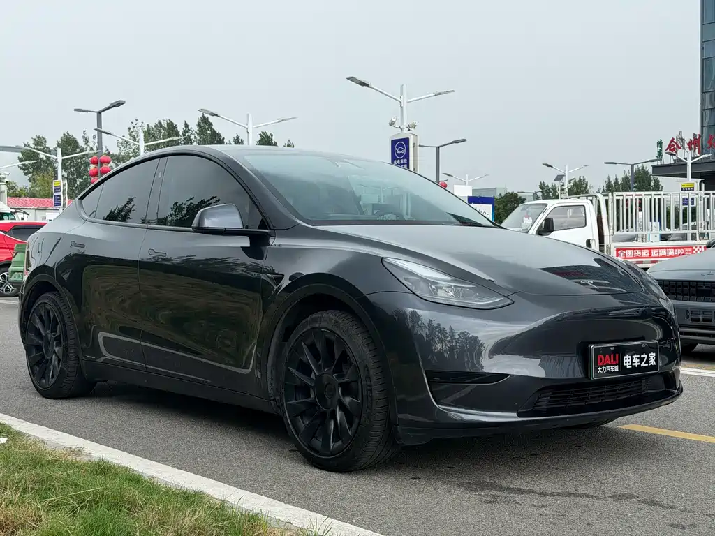 Tesla Model Y — фото 3