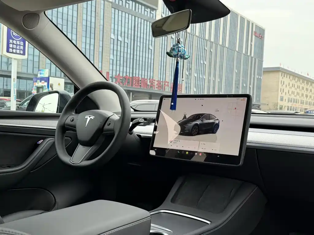 Tesla Model Y — фото 8