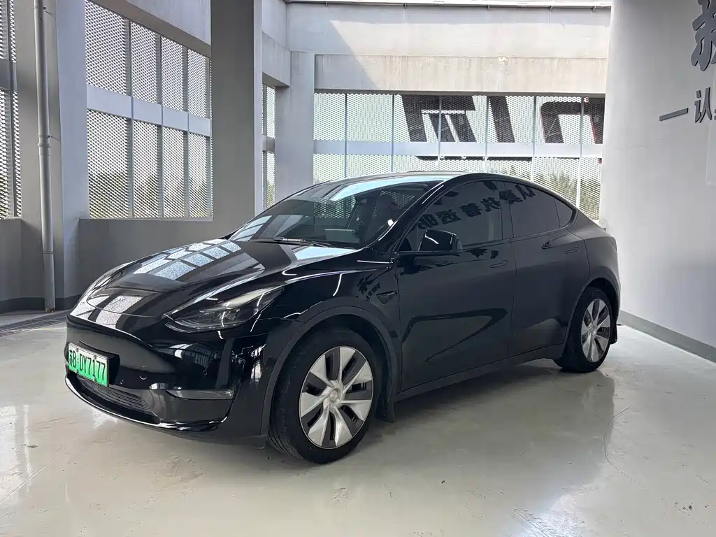 Tesla Model Y — фото 2