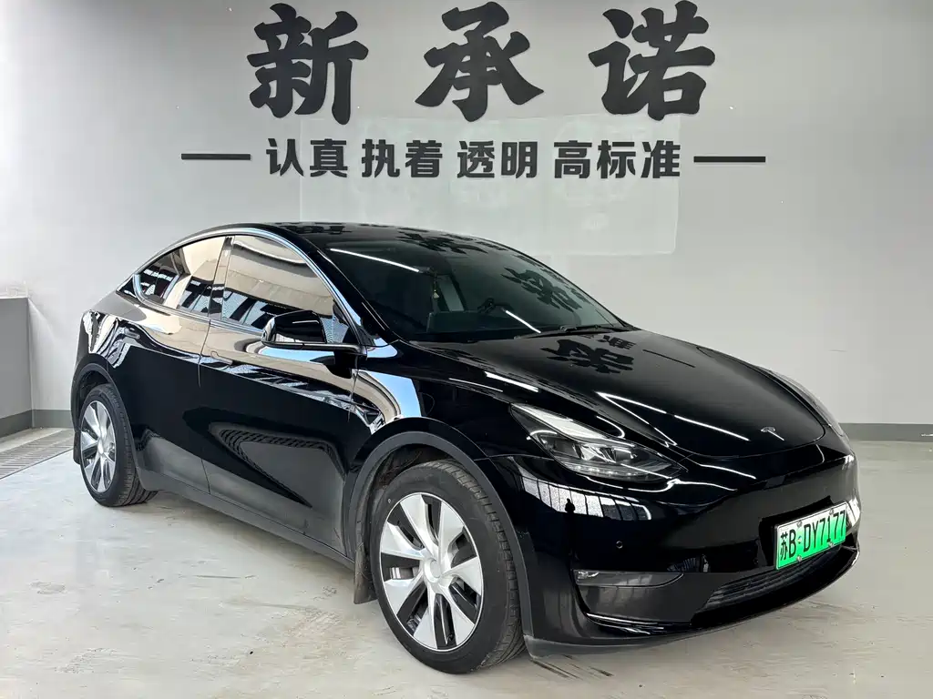 Tesla Model Y — фото 3