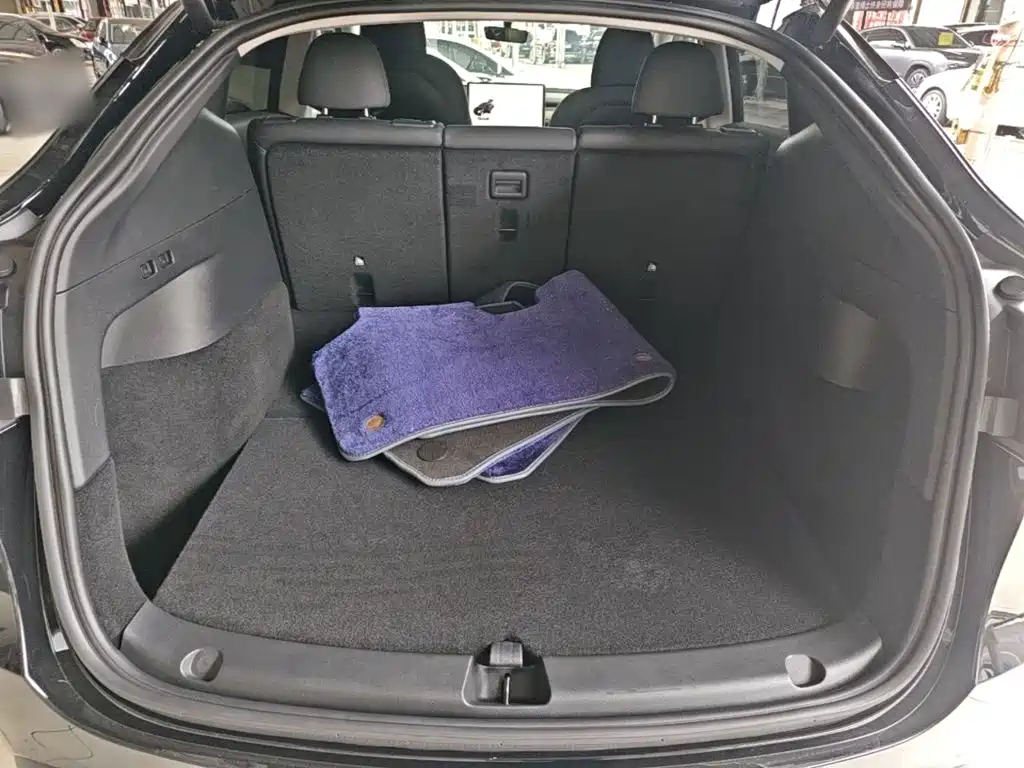 Tesla Model Y — фото 19