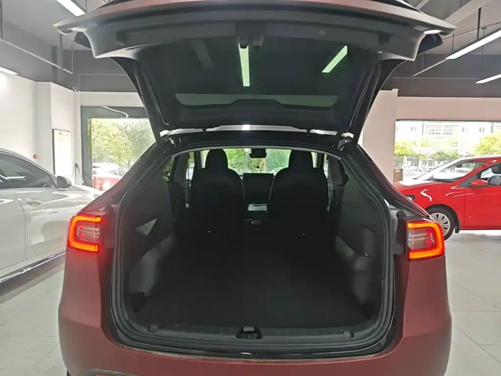 Tesla Model Y — фото 10
