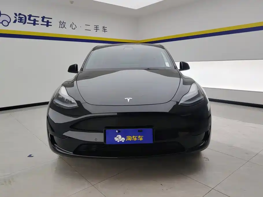 Tesla Model Y — фото 2
