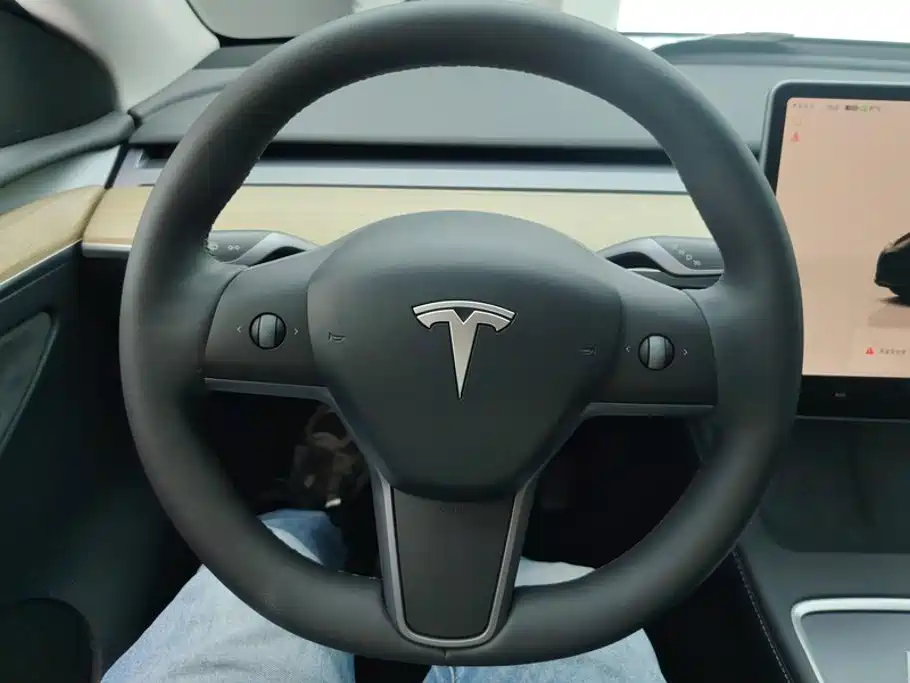 Tesla Model Y — фото 15