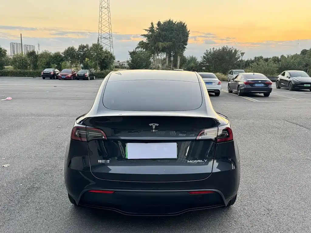 Tesla Model Y — фото 2