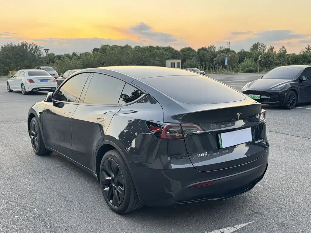 Tesla Model Y — фото 7