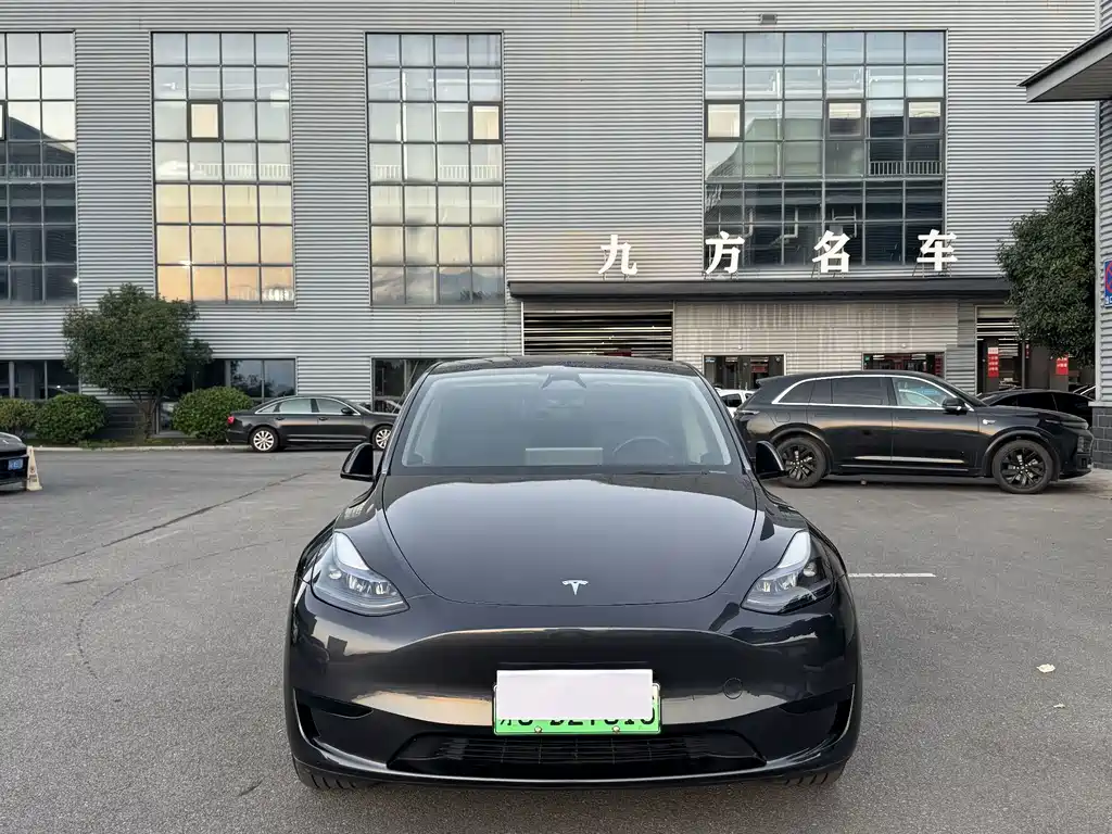Tesla Model Y — фото 9
