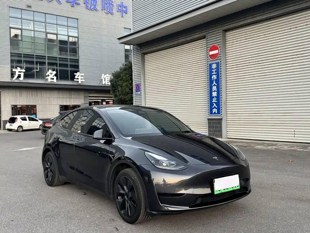 Tesla Model Y — фото 10