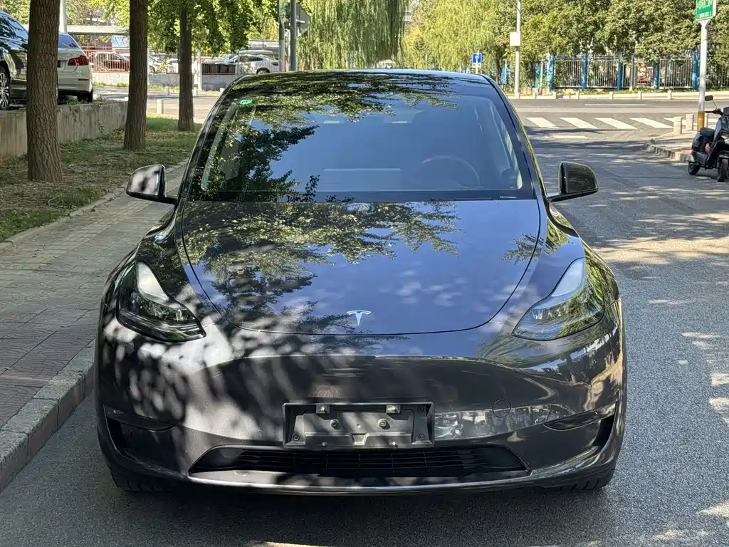 Tesla Model Y — фото 2