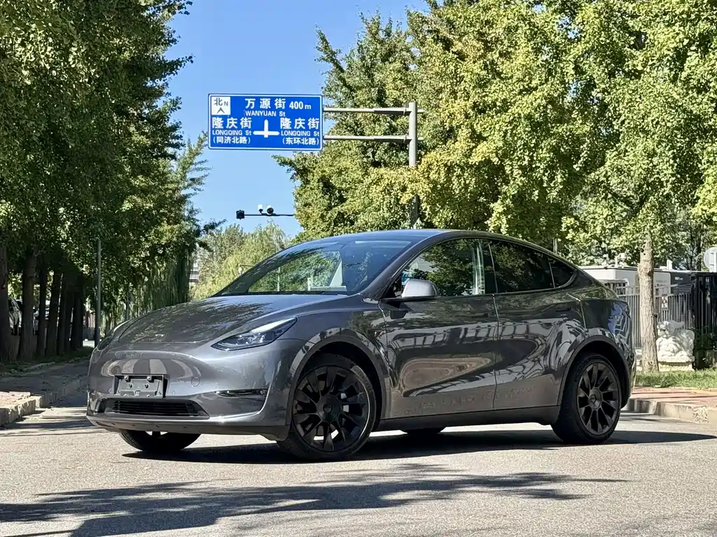 Tesla Model Y — фото 15