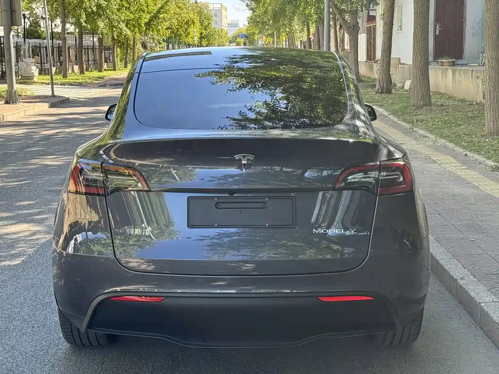 Tesla Model Y — фото 17