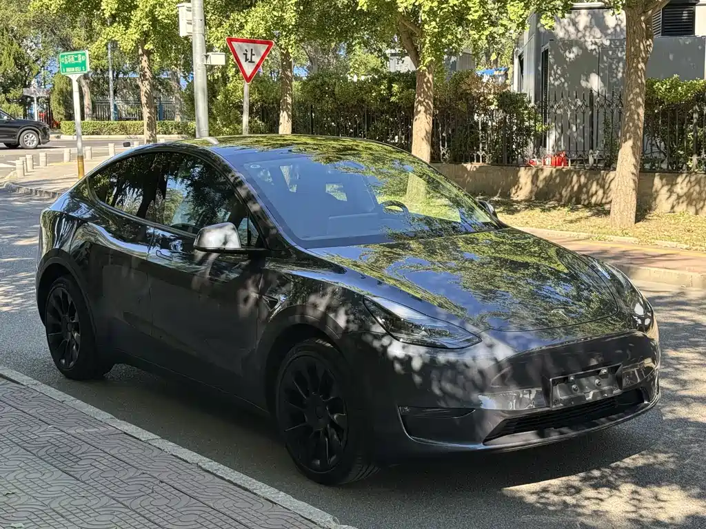 Tesla Model Y — фото 3