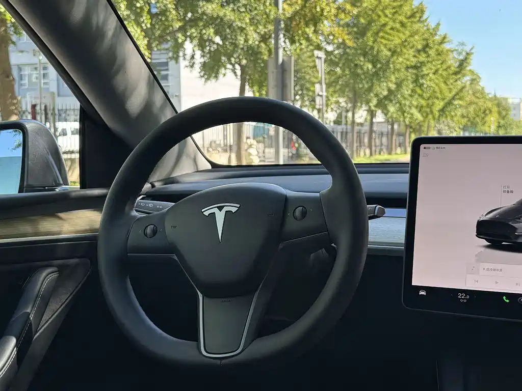 Tesla Model Y — фото 4
