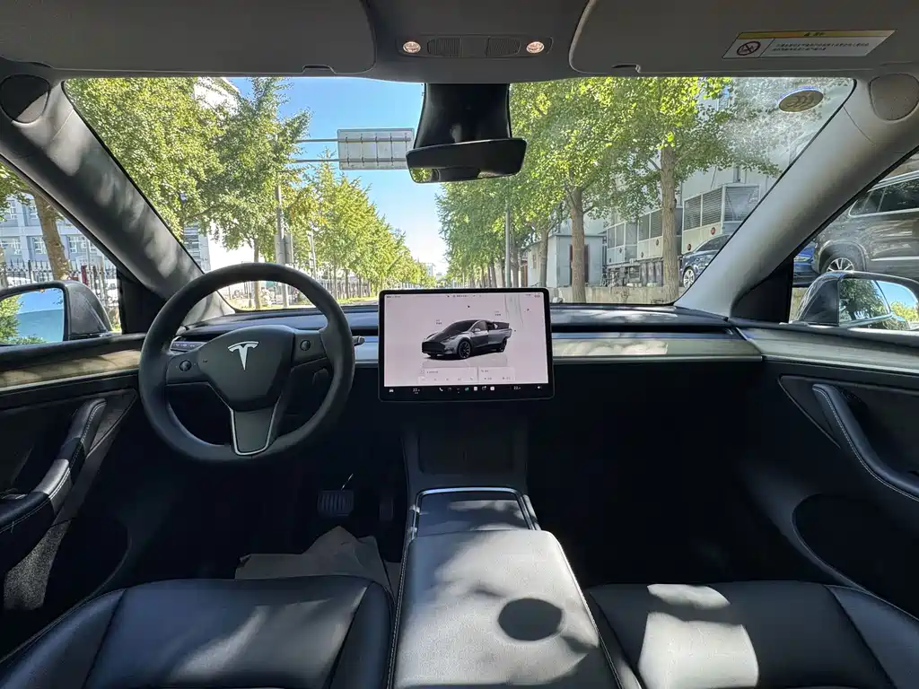 Tesla Model Y — фото 5