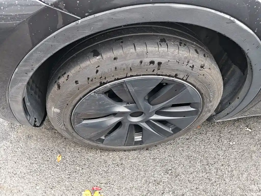 Tesla Model Y — фото 23