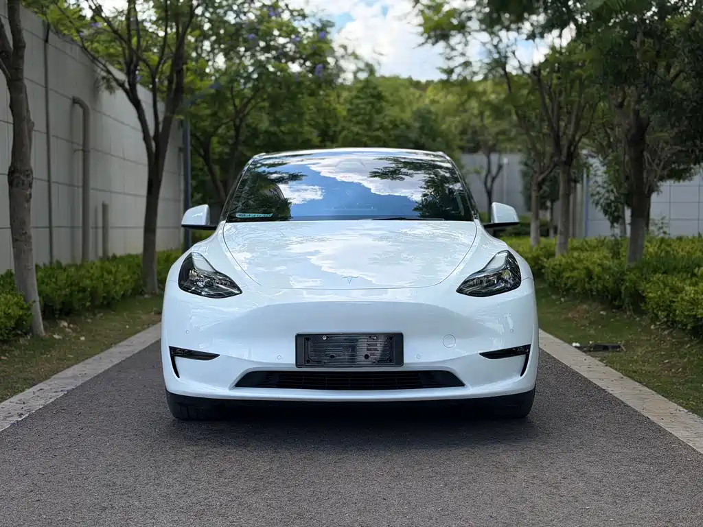 Tesla Model Y — фото 2