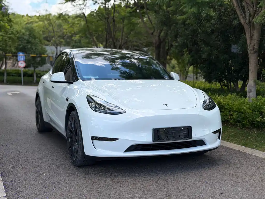 Tesla Model Y — фото 3