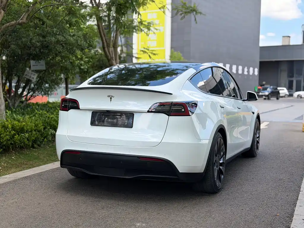 Tesla Model Y — фото 4