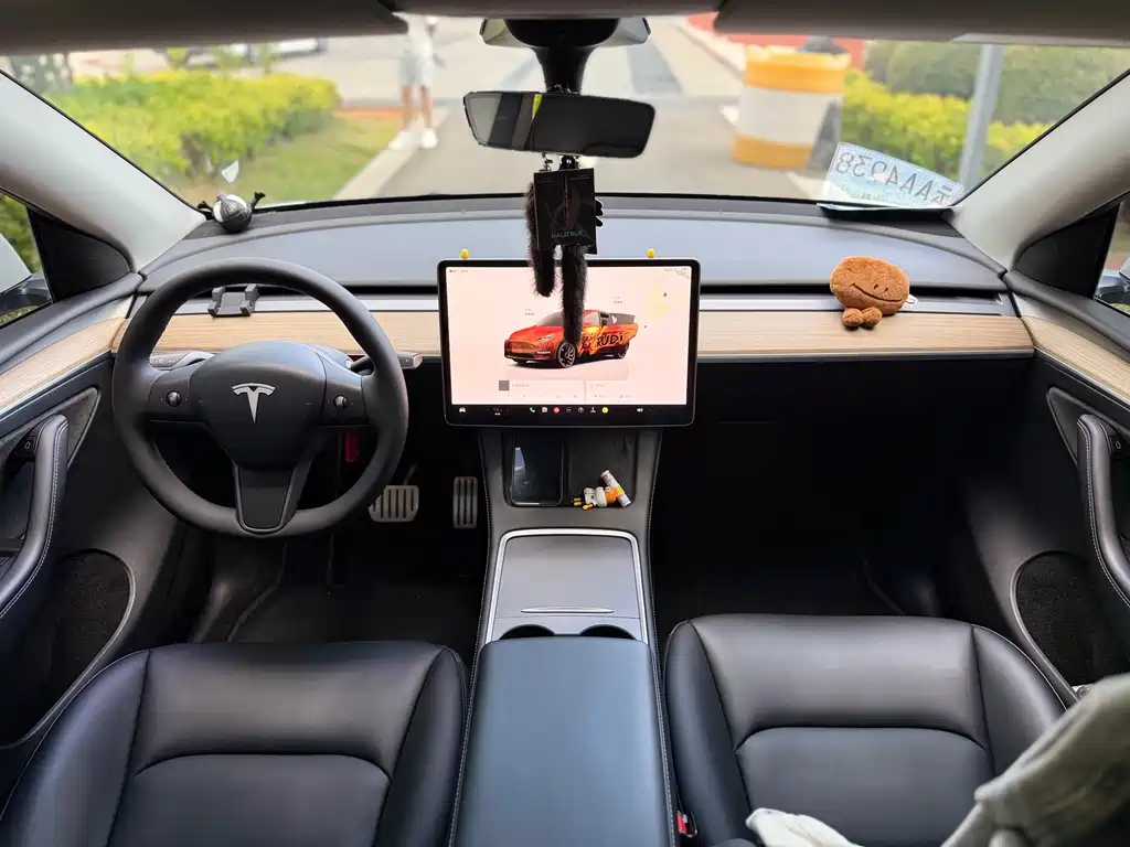 Tesla Model Y — фото 6