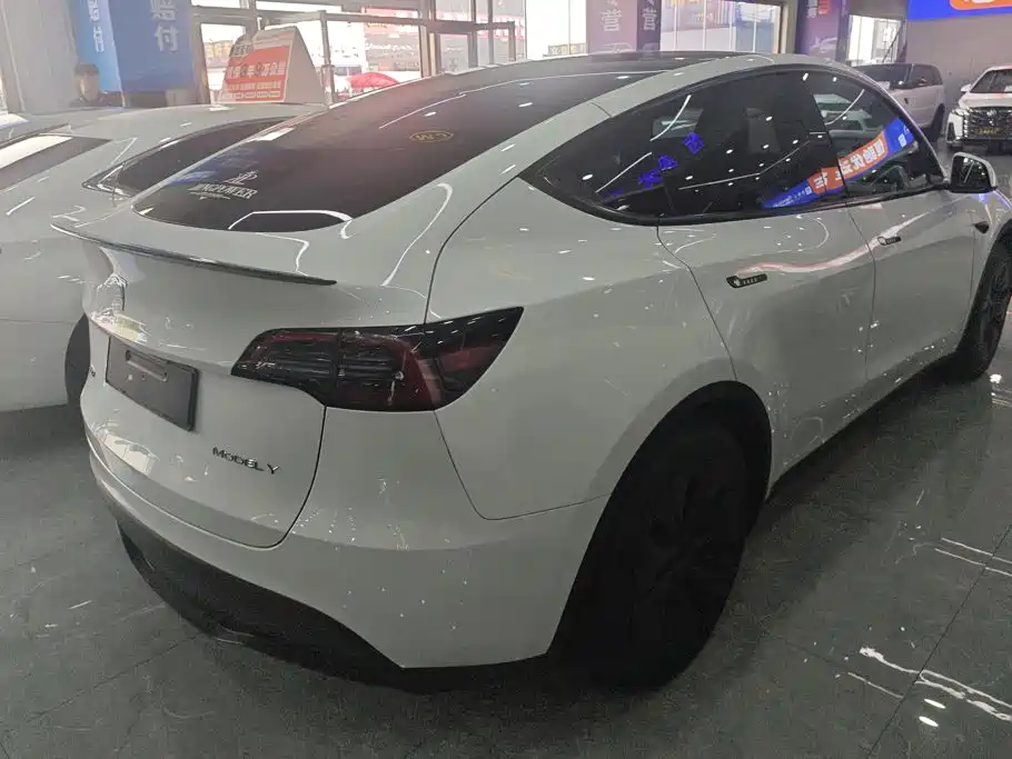 Tesla Model Y — фото 3