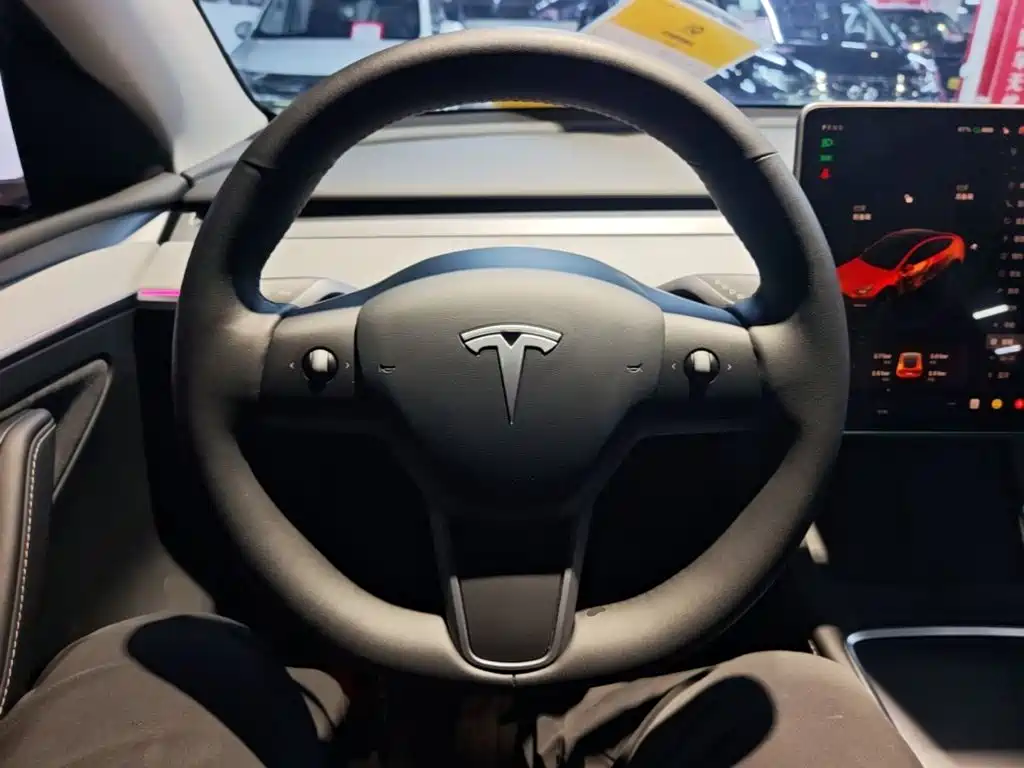 Tesla Model Y — фото 11