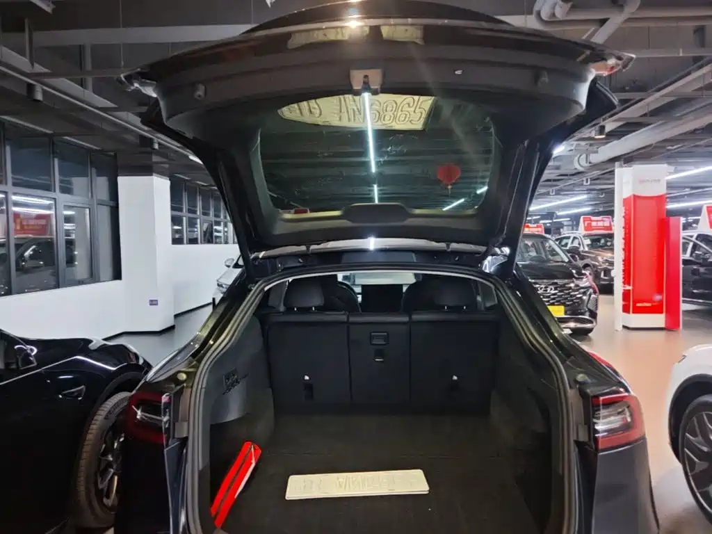Tesla Model Y — фото 19