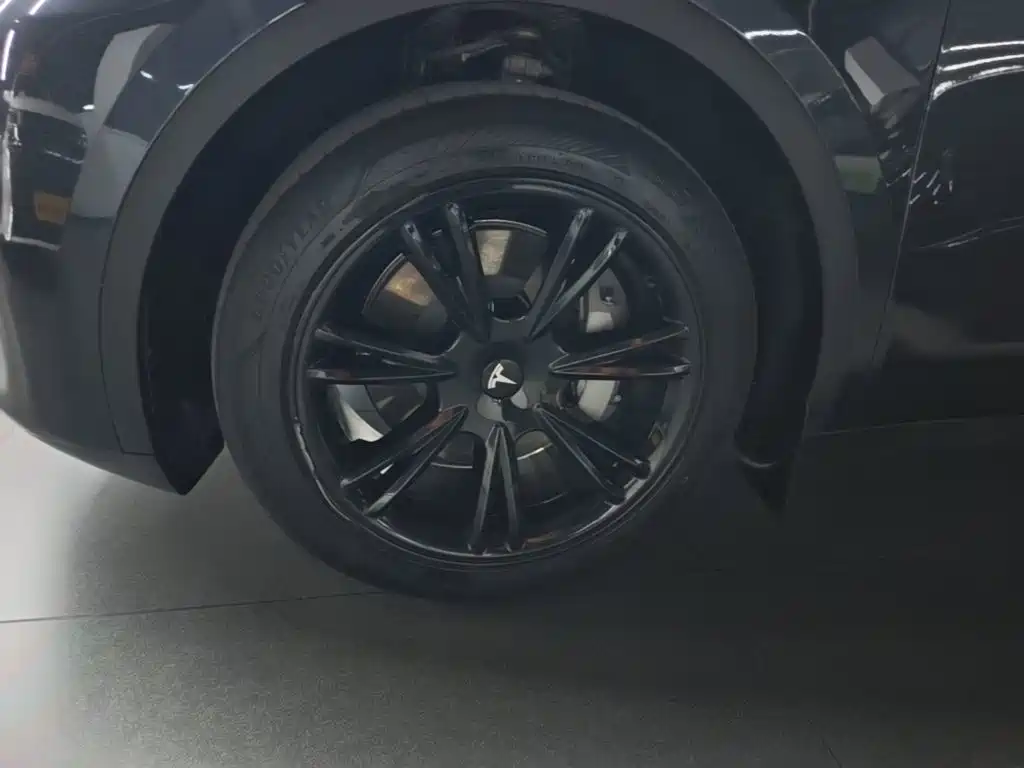 Tesla Model Y — фото 23