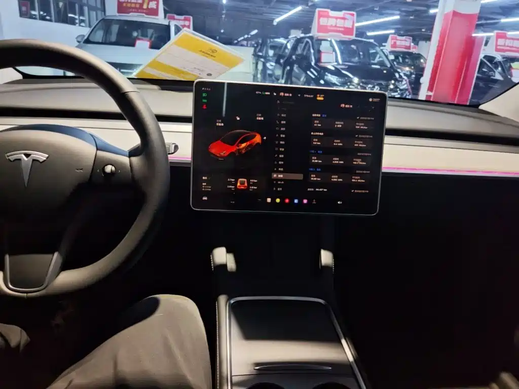 Tesla Model Y — фото 10