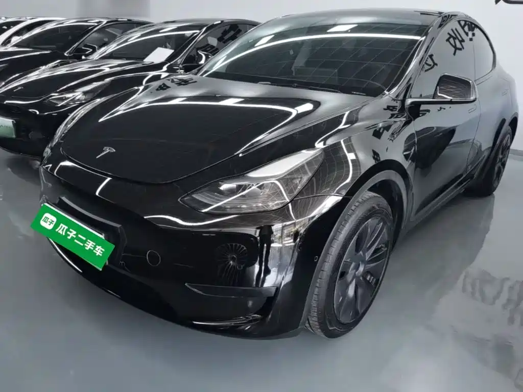 Tesla Model Y — фото 2
