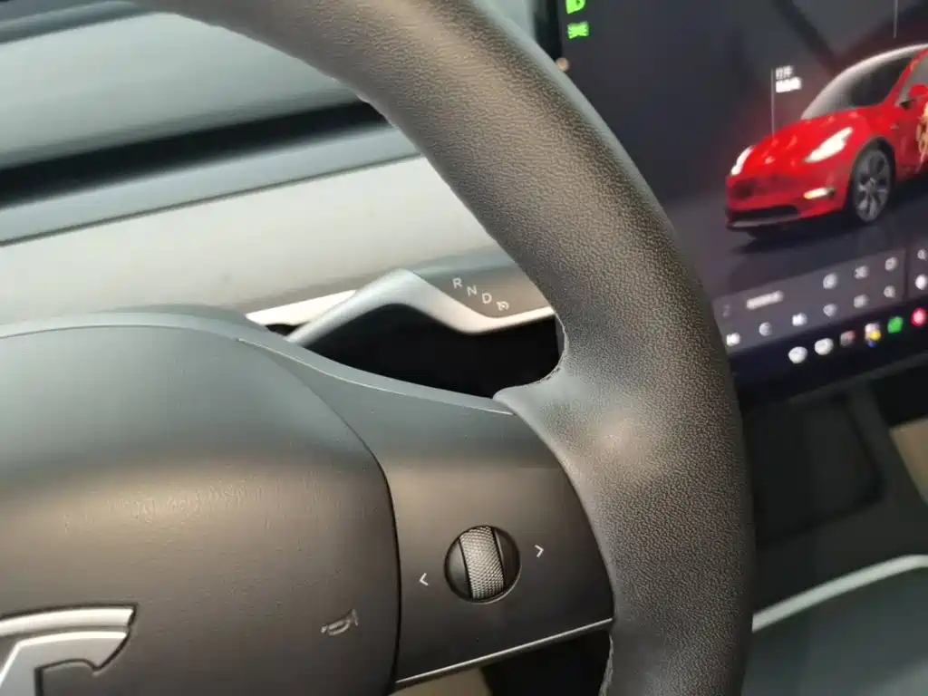 Tesla Model Y — фото 14