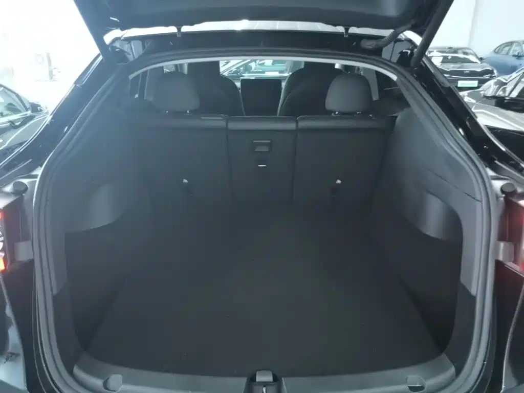 Tesla Model Y — фото 19