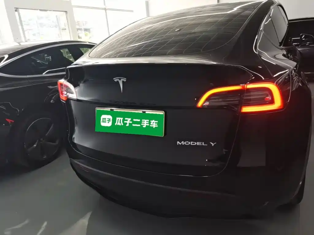 Tesla Model Y — фото 6