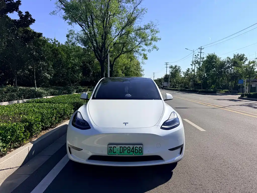 Tesla Model Y — фото 2