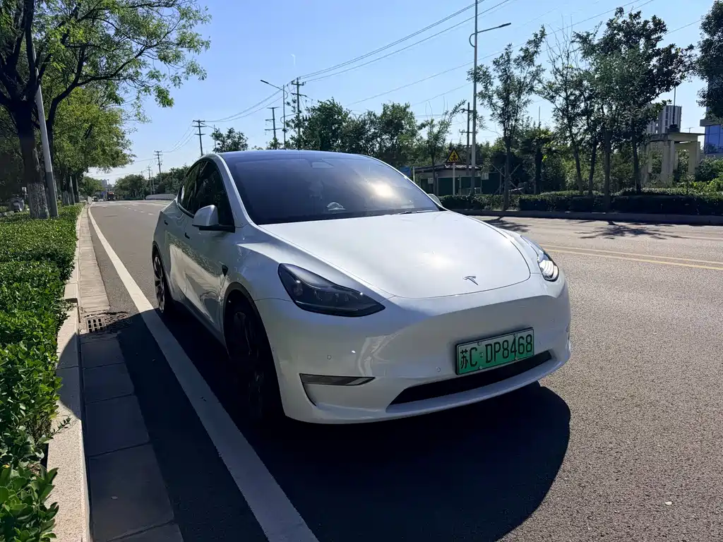 Tesla Model Y — фото 3