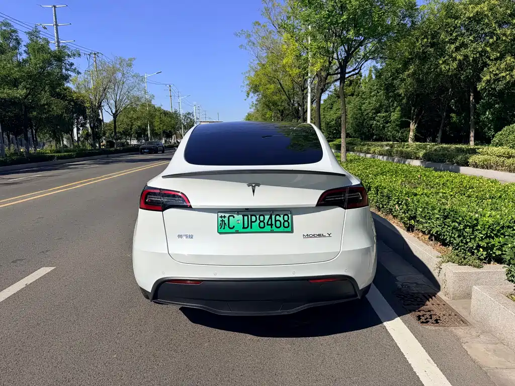 Tesla Model Y — фото 4