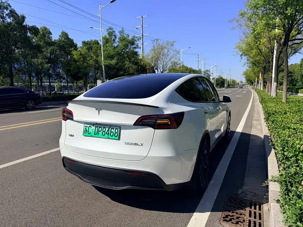 Tesla Model Y — фото 5