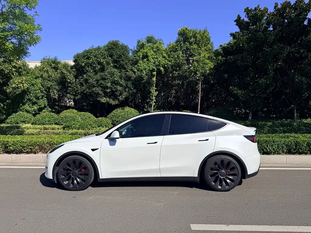 Tesla Model Y — фото 6