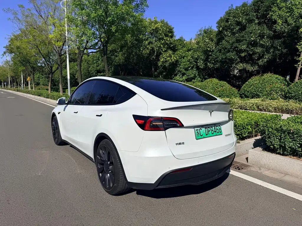Tesla Model Y — фото 7