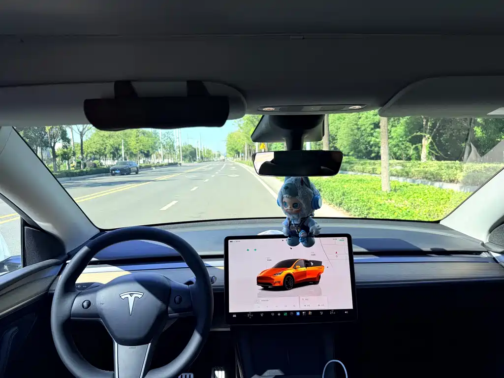 Tesla Model Y — фото 9