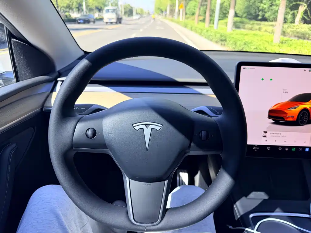 Tesla Model Y — фото 10
