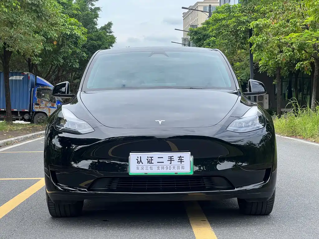 Tesla Model Y — фото 2