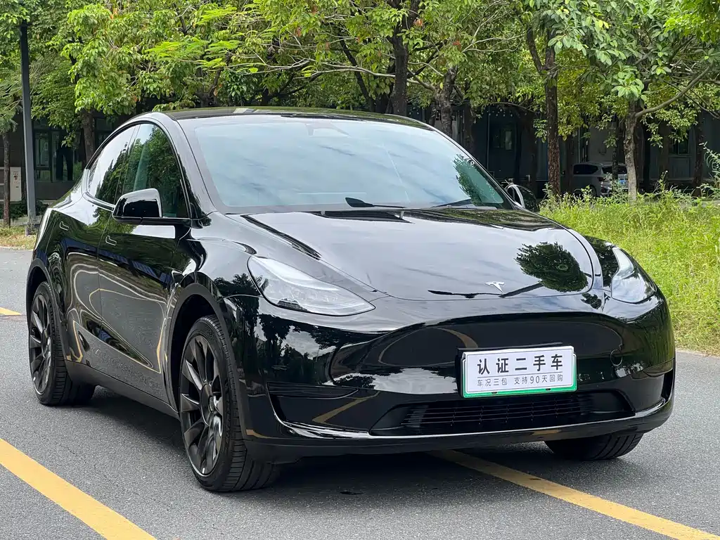 Tesla Model Y — фото 3