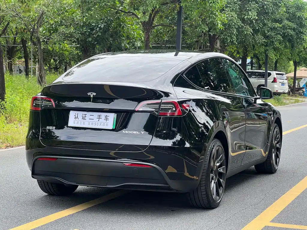 Tesla Model Y — фото 9