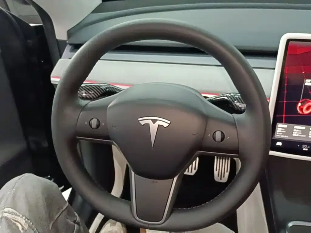 Tesla Model Y — фото 11