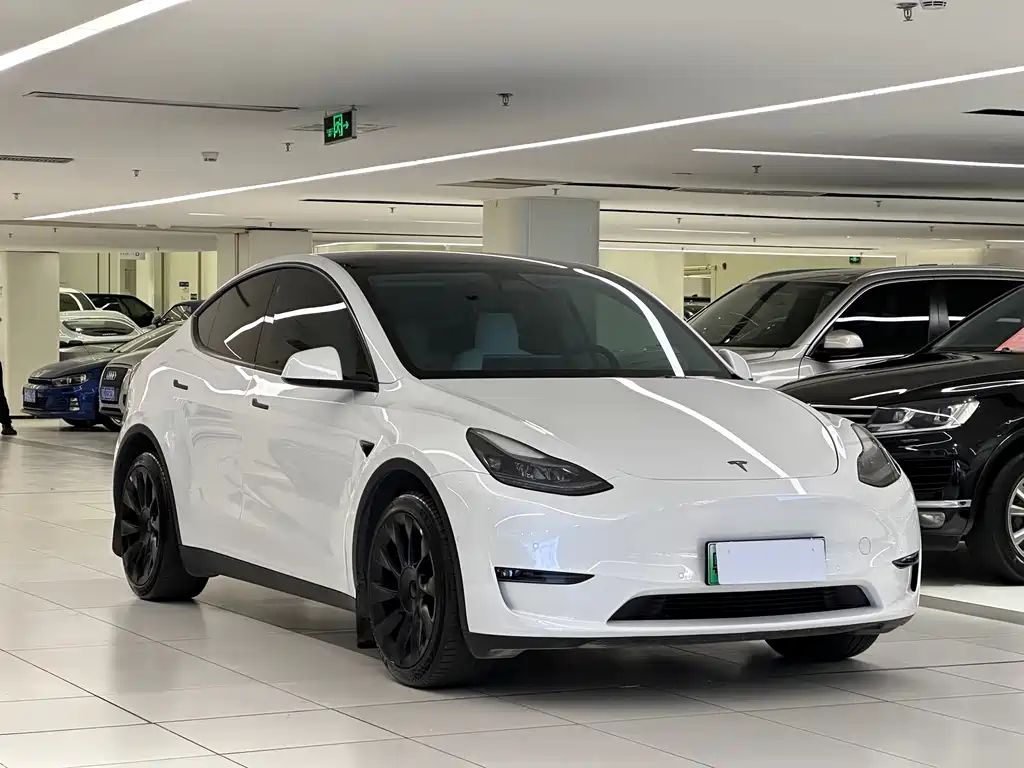 Tesla Model Y — фото 3