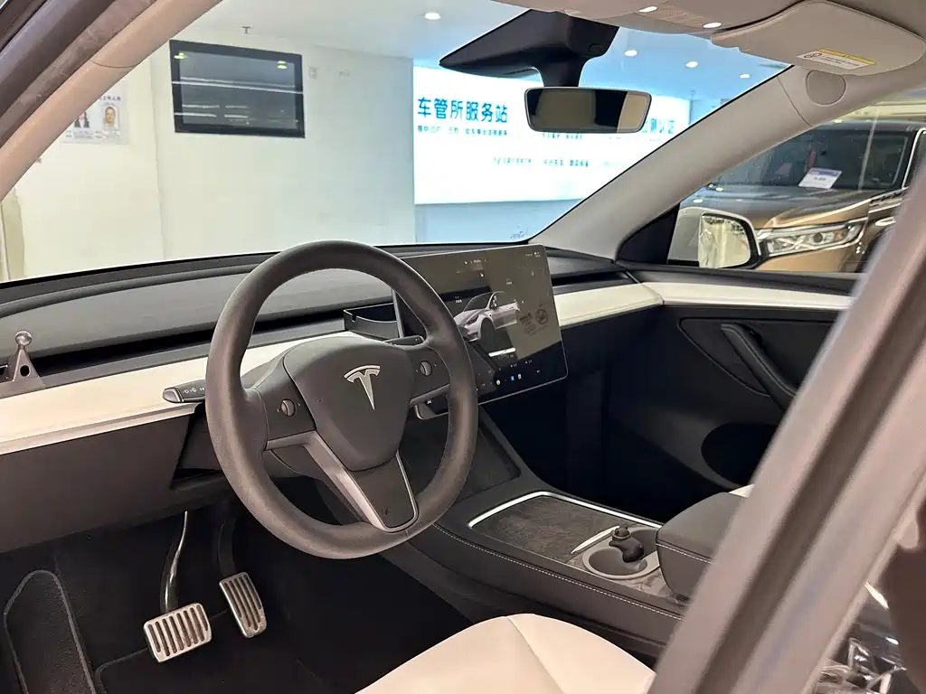 Tesla Model Y — фото 10