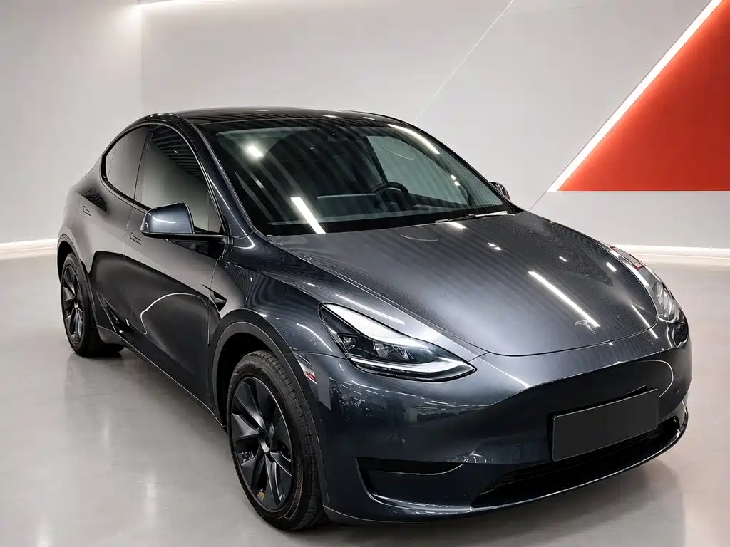 Tesla Model Y — фото 3