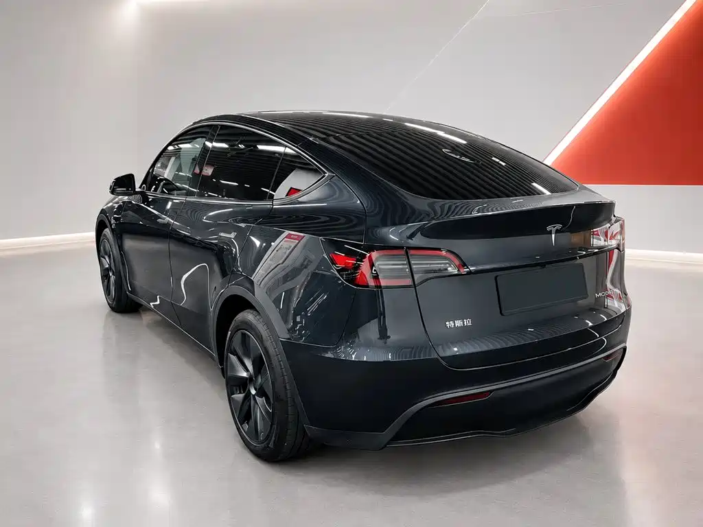 Tesla Model Y — фото 4