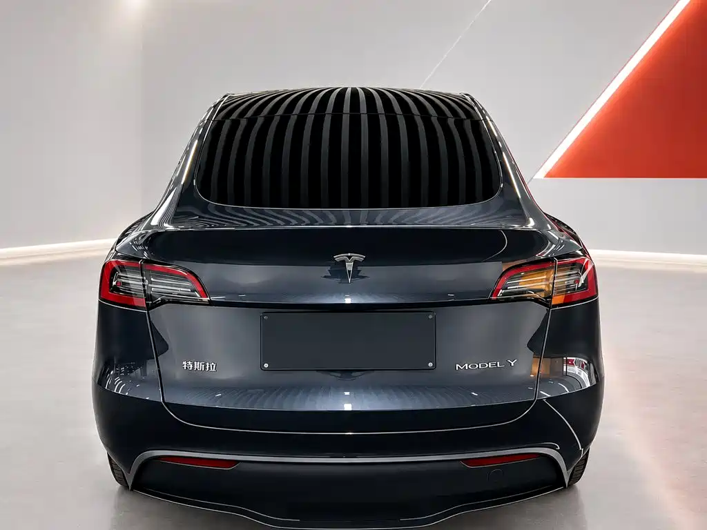 Tesla Model Y — фото 5