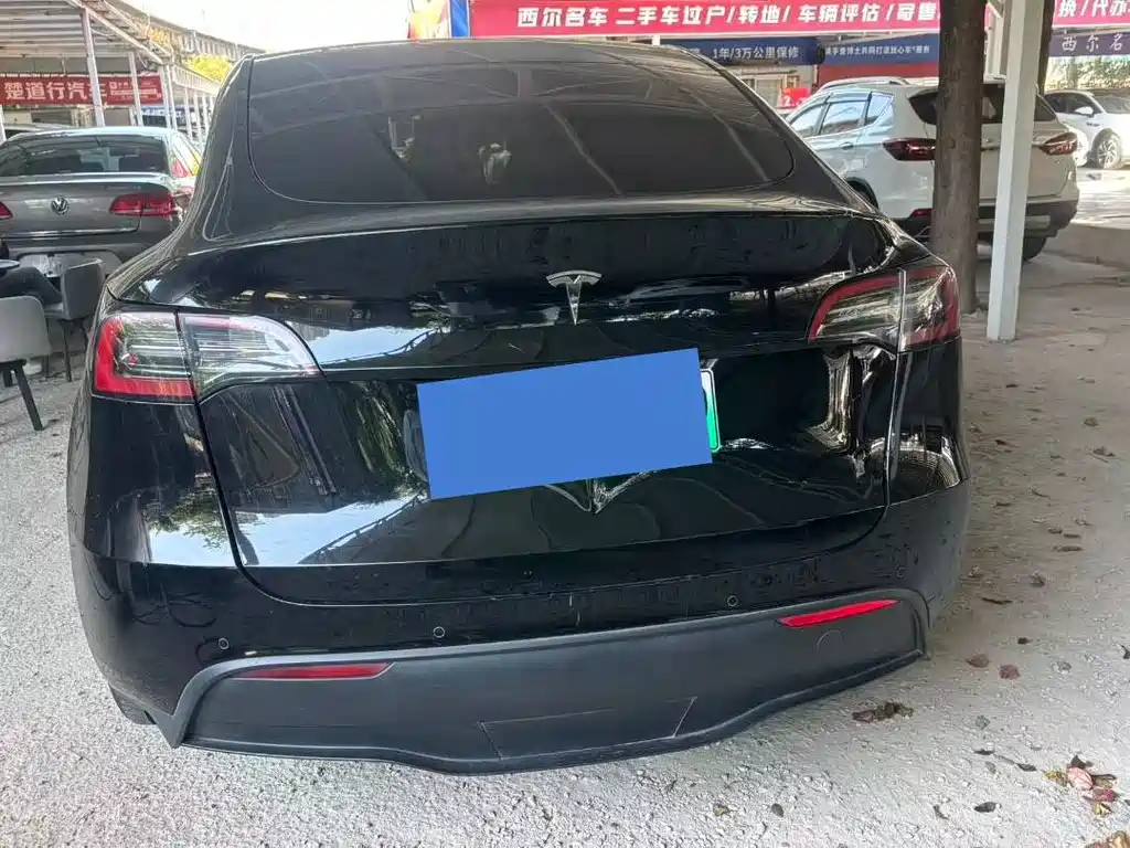 Tesla Model Y — фото 6